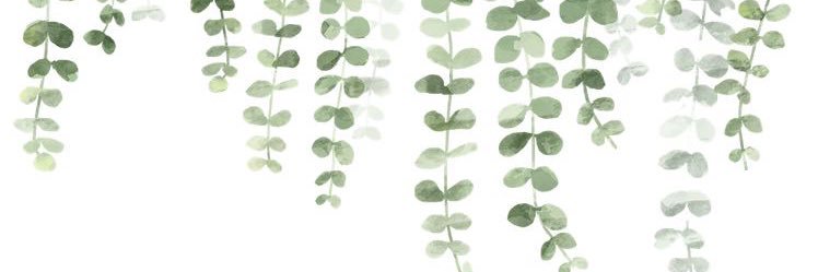 Haley Smith banner