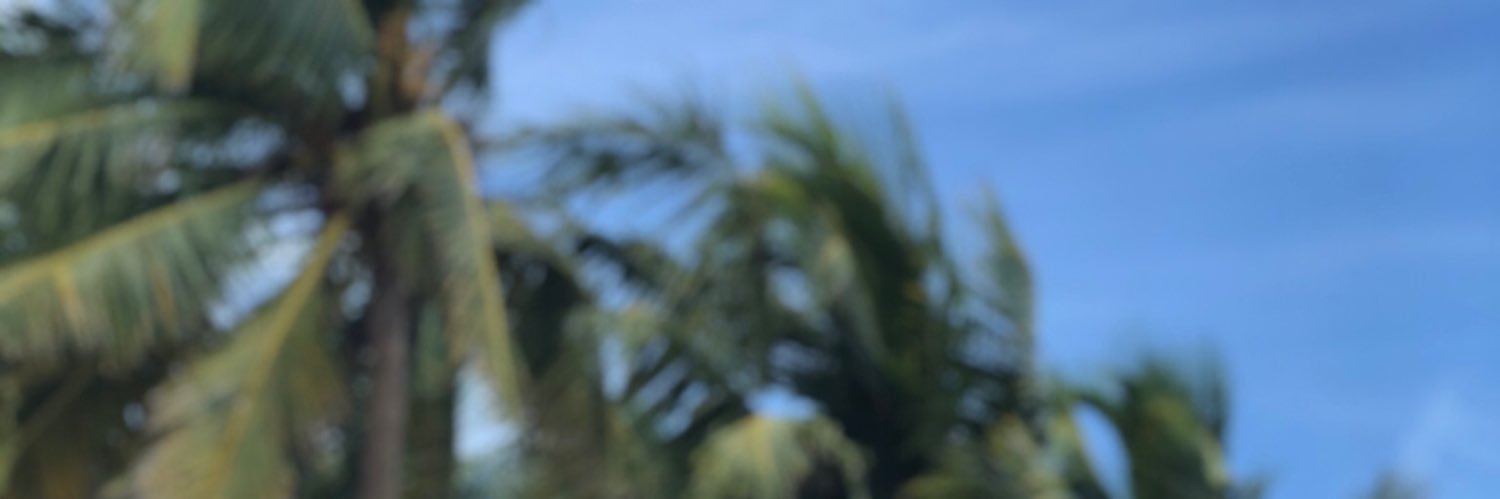 lmaoemz's profile banner image