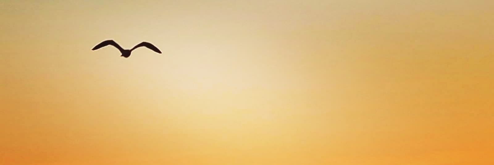 QuentinMazard's profile banner image