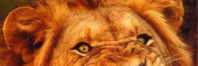 sadiqchishty's profile banner image