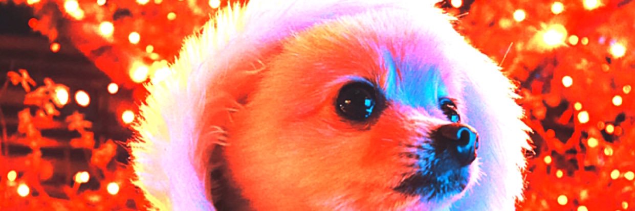 mikaringo127's profile banner image