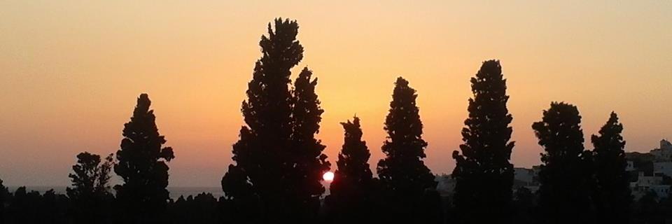 CoreenMorsink's profile banner image