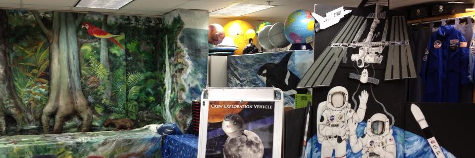 Project Discovery's banner