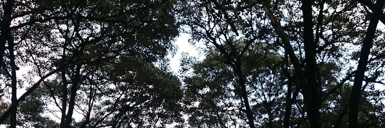 Bagas_EP's profile banner image
