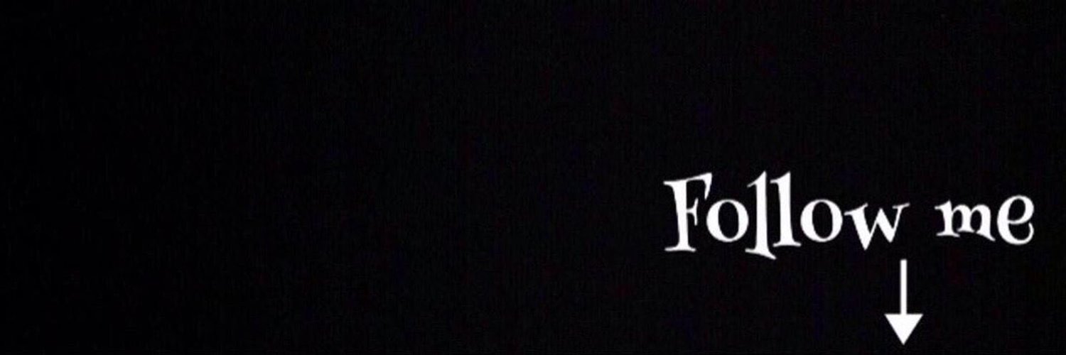 喜毛熊🐻 banner