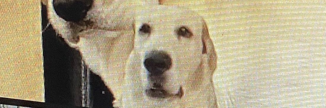 LeviCornwal's profile banner image