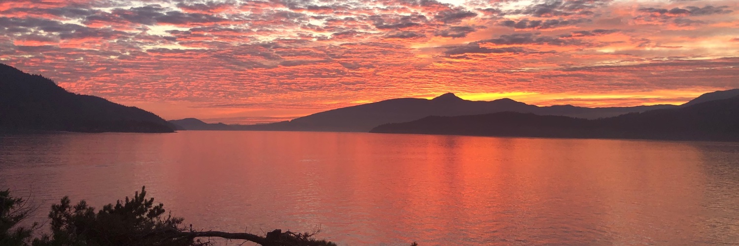 David R. Robinson banner