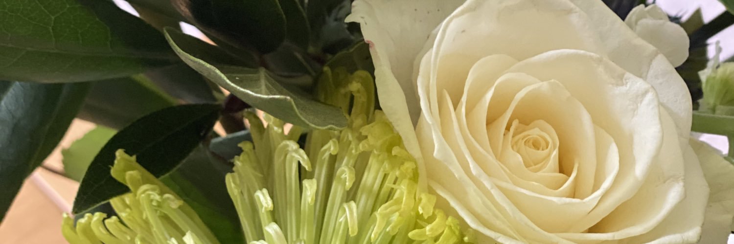 TresTara's profile banner image