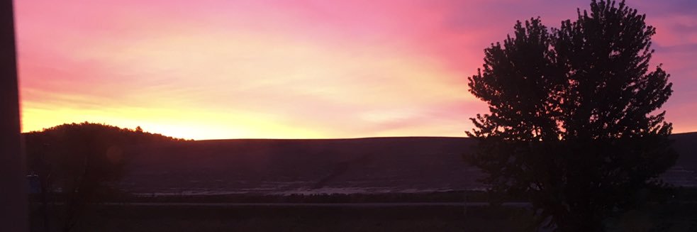 kimernstmeyer's profile banner image