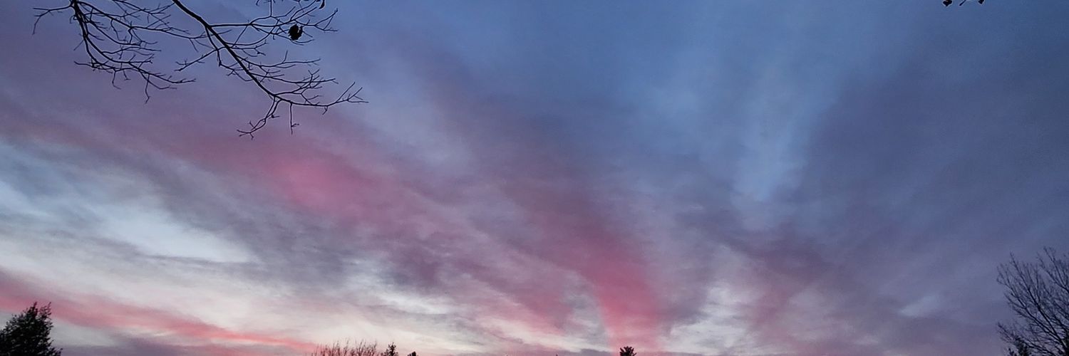 Earth_Traveler banner