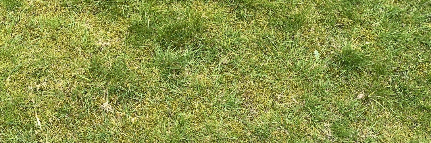 progressiefNed .nl banner