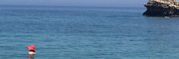 LjmCam Profile Banner