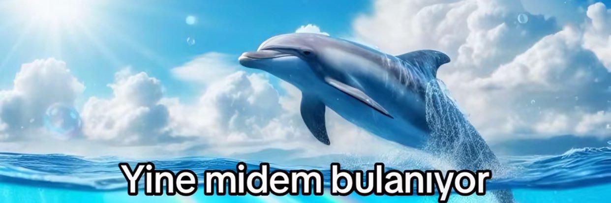 bssudek's profile banner image