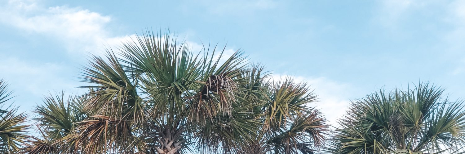 baileyynicole14's profile banner image