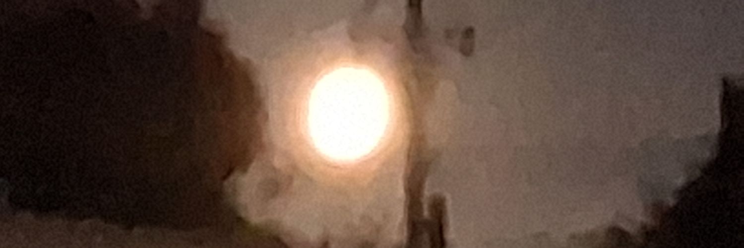 Pedro Bosque Pérez banner