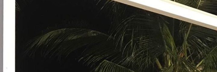 charles_qt's profile banner image