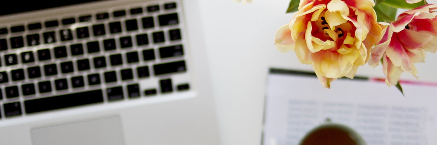 SheDoesBiz's profile banner image