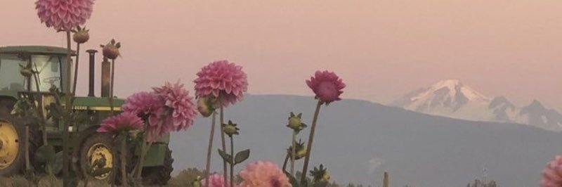 the_libramoon's profile banner image