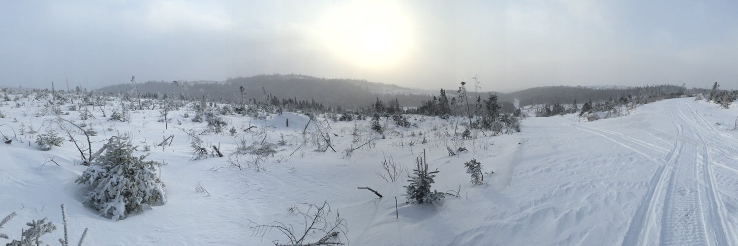NahVW's profile banner image