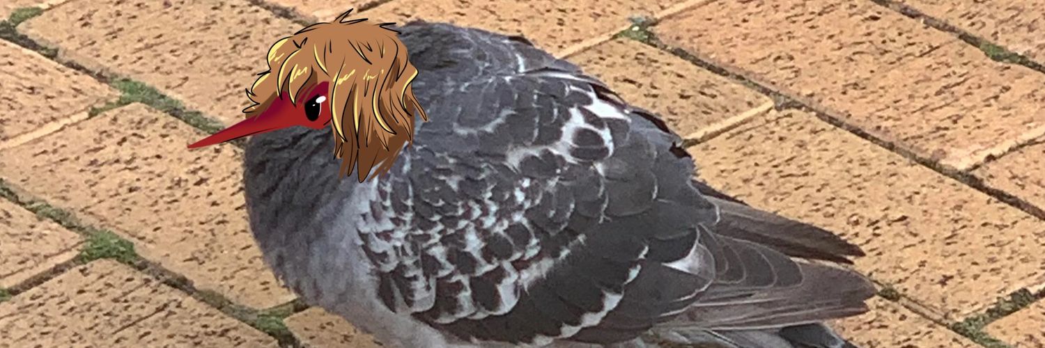 KorativeSquid banner