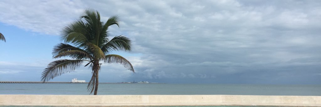 MarAleBB's profile banner image