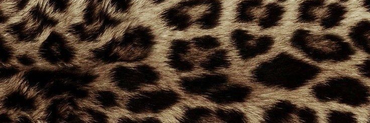 sooinieu's profile banner image