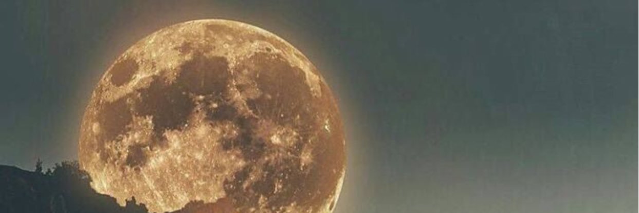 KaytyGraham's profile banner image