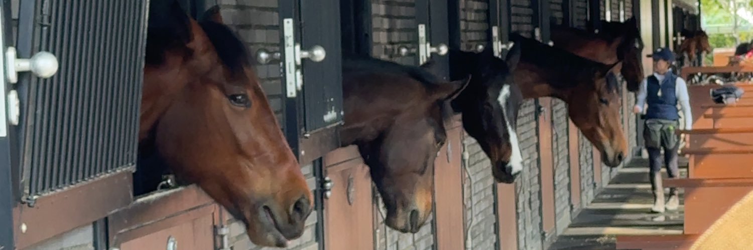 いすけさん@膝に矢を受けてしまってな… banner