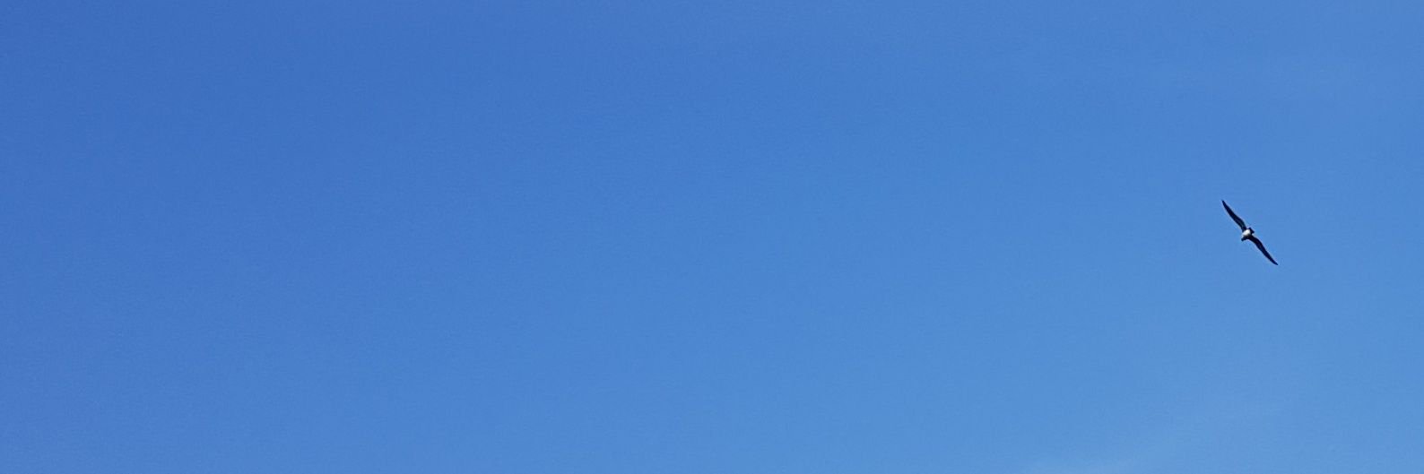 twt112g's profile banner image