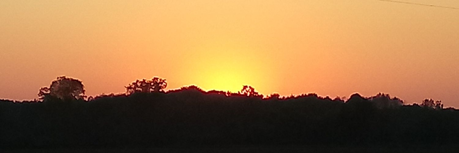 Nicholas Vermeulen banner