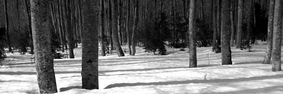 m_kentas's profile banner image