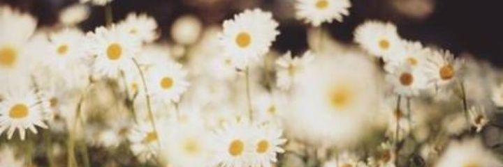selcangnss's profile banner image