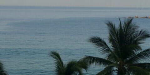Ivetsusha's profile banner image