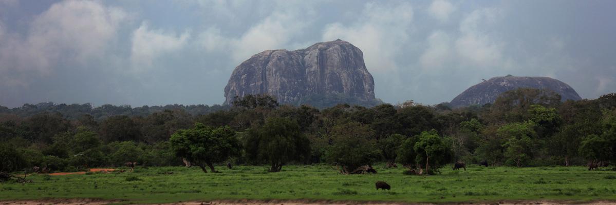 MongabaySriLanka banner