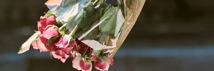 bi𐙚°｡⋆♡ banner