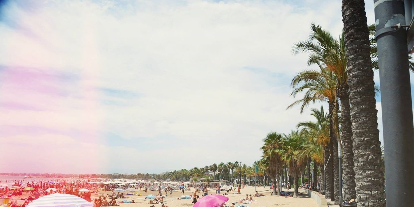 chabosson's profile banner image