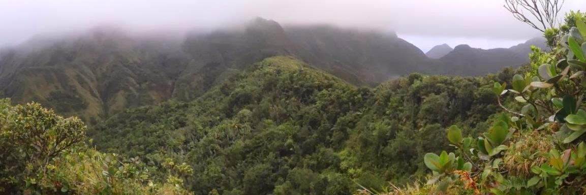 Malaria Before The Neolithic banner