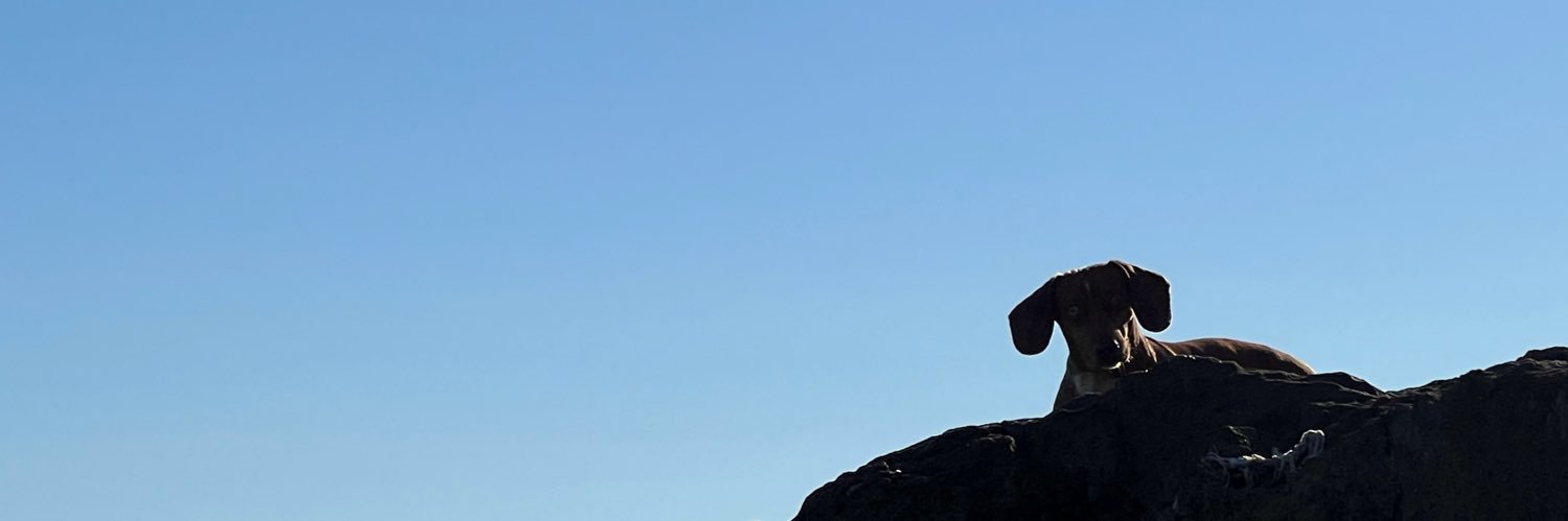 nati banner