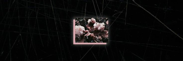 T. banner