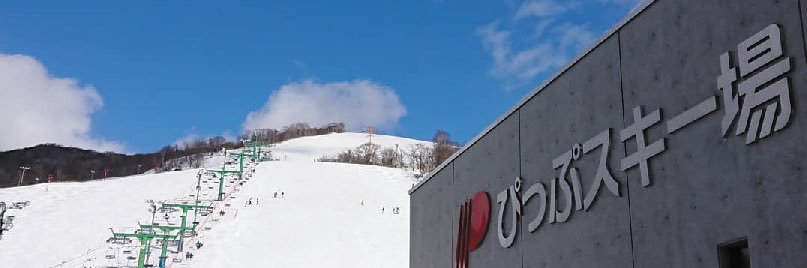 pippuski's profile banner image