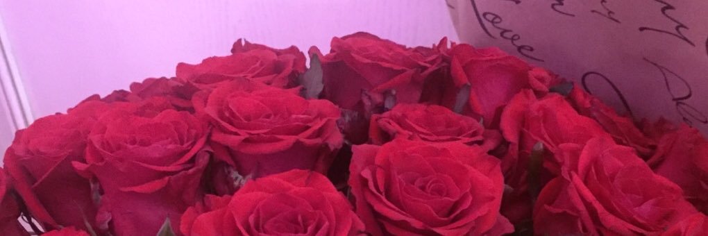 olenaaaaaa1's profile banner image