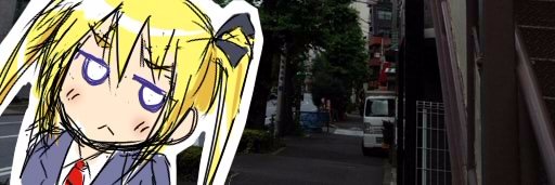 eliskip's profile banner image