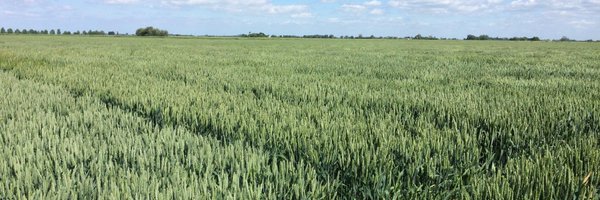 ADASTerrington Profile Banner