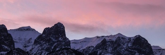 Reeyyy banner