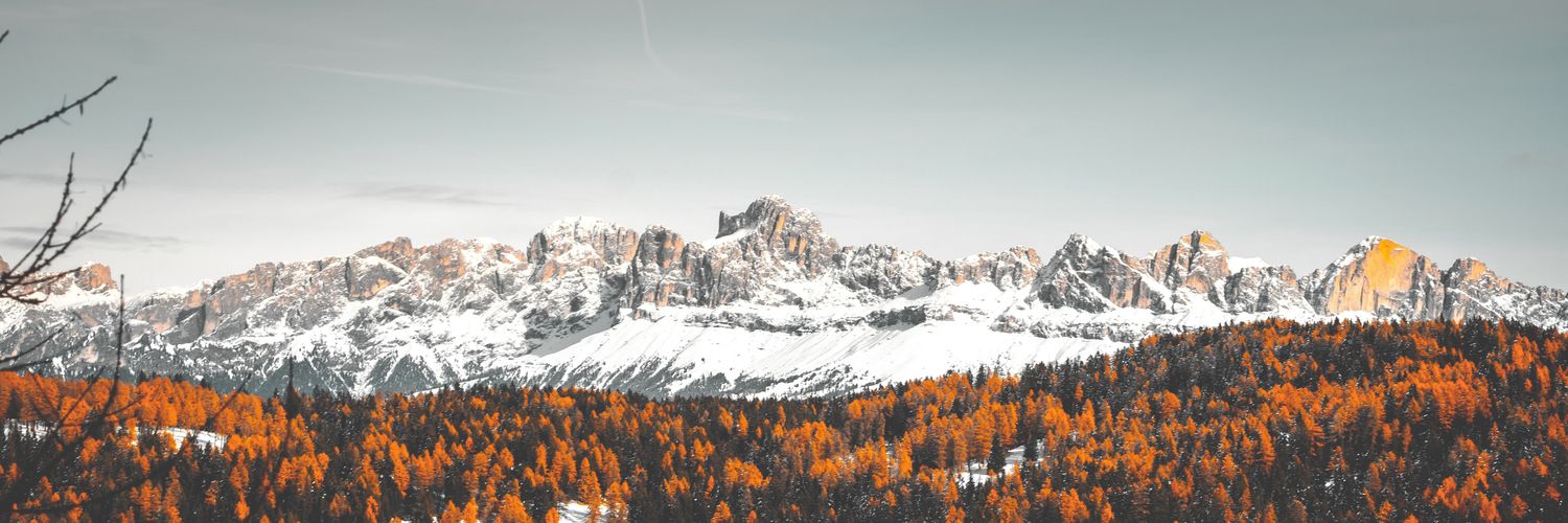 Dieguizmo's profile banner image