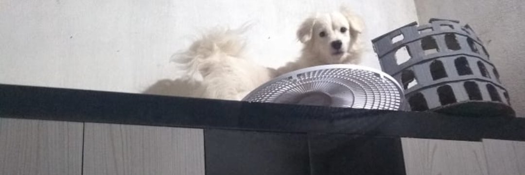 Depressivo ou apenas brasileiro? banner