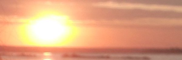 Sseelleennaa9 Profile Banner