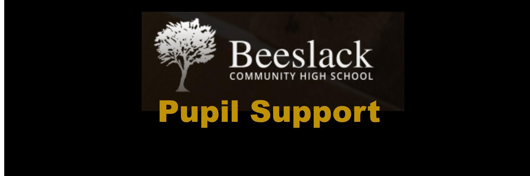 BCHS Pupil Support banner