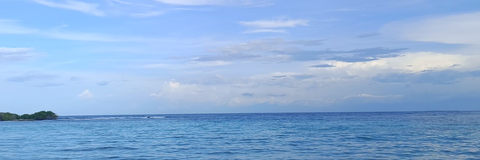 amipossa's profile banner image