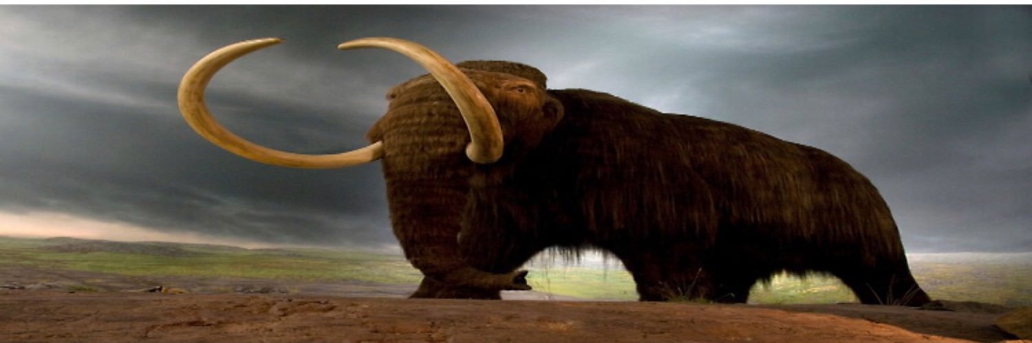 Coobly Dooble banner